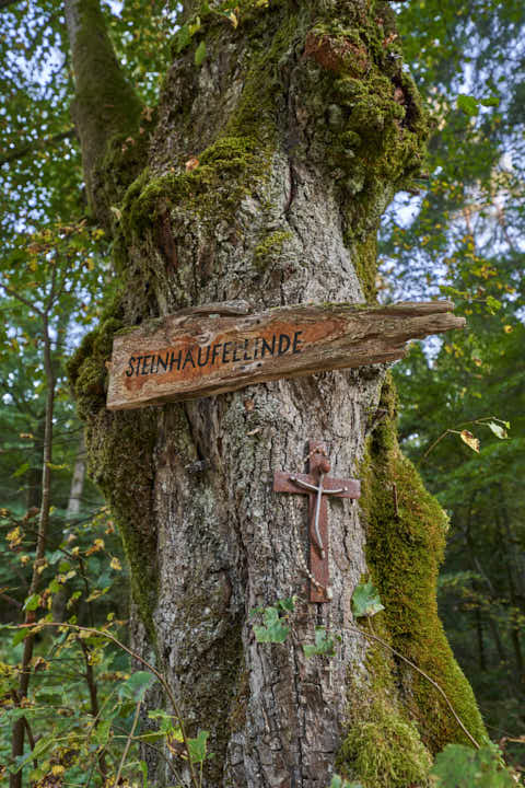 Gemeinde Altötting Landkreis Altötting Forst Fürstenweg Steinhäufellinde (Dirschl Johann) Deutschland AÖ